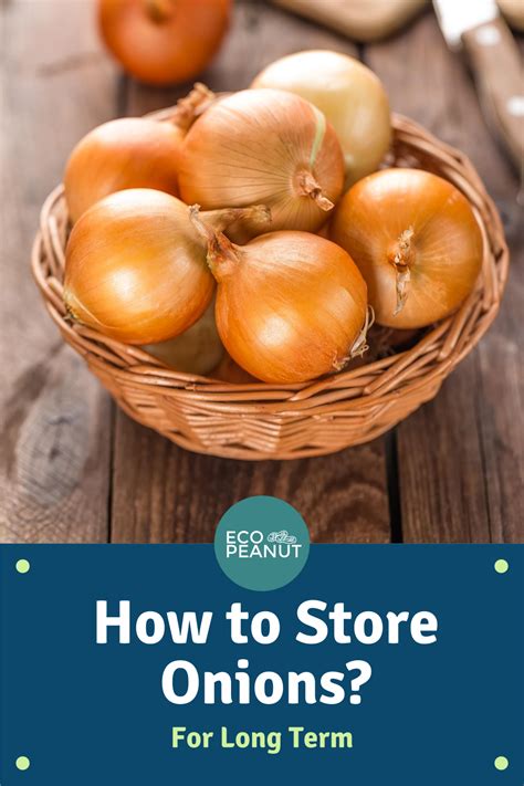 How To Store Onions A Complete Guide