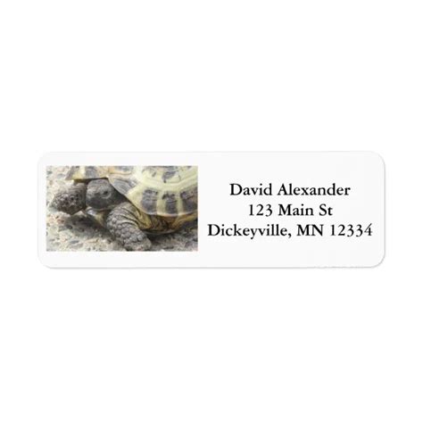 Return Mailing Address Labels With Cute Turtle Zazzle
