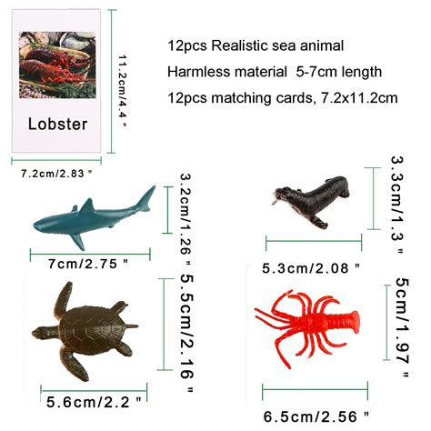 Buy 12 Pcs Ocean Sea Animal Figures With 12pcs Matching Cards Ootsr