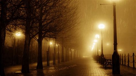 🎧 Relaxing Sound Of Rain In Foggy Street 10 Hour Cozy Rain Cozy