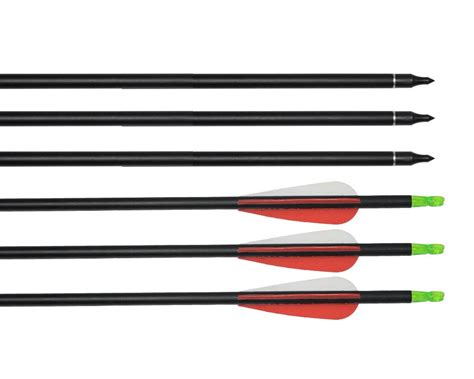 2 Dozens Archery Hunting Carbon Arrows 31 Inch Compound Bow Arrows In