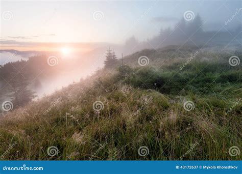 Foggy Mountain Morning Stock Image Image Of Woodland 43172637