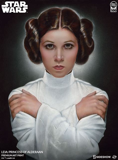 The Leia Princess Of Alderaan Fine Art Print Arrives From A Gallery