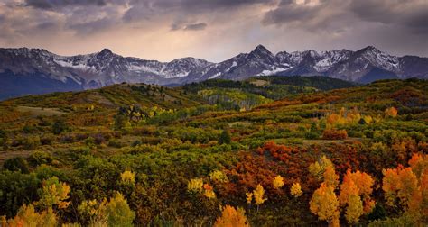 Check Out The Colorado Fall Foliage Map For 2022