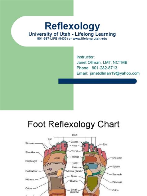 Reflexology Charts And Relaxation Techniques Foot Thumb