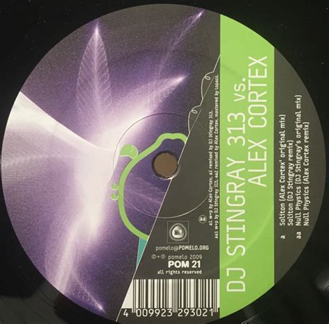Dj Stingray 313 Vs Alex Cortex Soliton Null Physics 2009 Vinyl Discogs