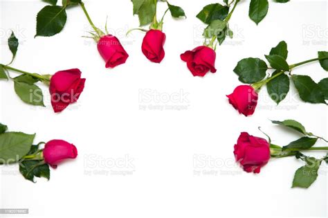 White Background With Some Pink Roses Stock Photo Download Image Now