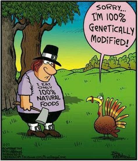 thanksgiving funny funny thanksgiving thanksgiving cartoon thanksgiving jokes