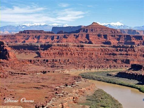The Colorado River Meandering Through Canyonlands National Park In Utah