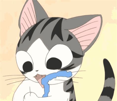 Les S De Chi Anime Cat Kawaii Cat Chis Sweet Home