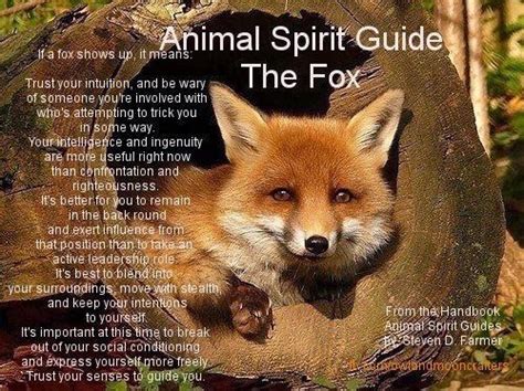 Paramike Animal Spirit Guide The Fox