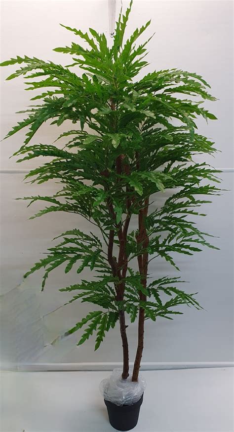 Artificial Aralia Tree 170cm Natural Stems Silk Trees And Plants