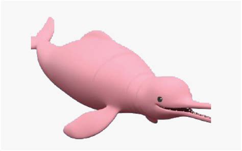 Dolphines Clipart Pink Dolphin Catfish Octonauts Hd Png Download