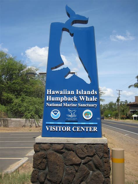 Hawaiian Islands Humpback Whale National Marine Sanctuary Alchetron