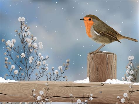 Art Drawing Sparrow Bird Winter Snow Wallpaper 1920x1440