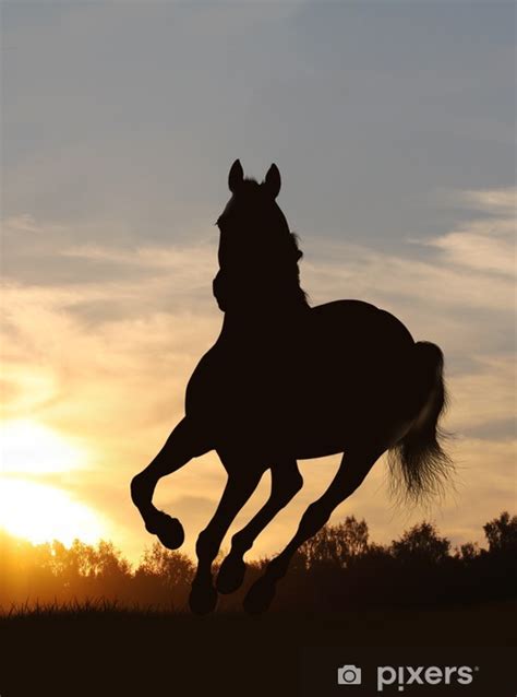 We did not find results for: Fototapete Pferd im Sonnenuntergang • Pixers® - Wir leben ...