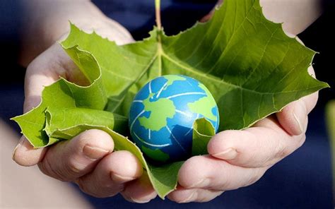 Conciencia Ecológica Clave Para La Sostenibilidad De La Tierra Ademan