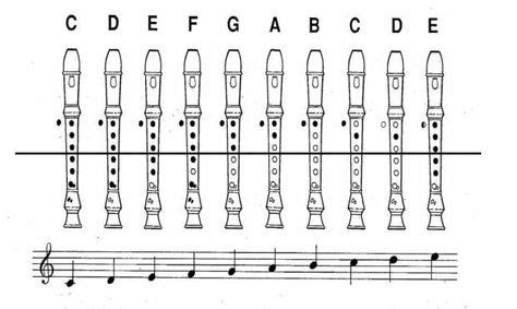 recorder notes | education: music | Recorder music, Music worksheets, Music