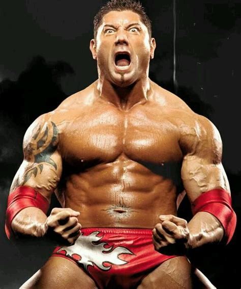 The Animal Dave Batista Batista Wwe Wwe World Wwf Superstars