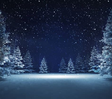 Snowy Night Stock Photos Pictures And Royalty Free Images