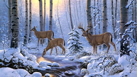 25 Deer In The Winter Forest Wallpapers Wallpaperboat