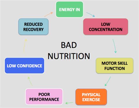 The Effects Of Nutrition On Learning The Effects Of Good Nutrition