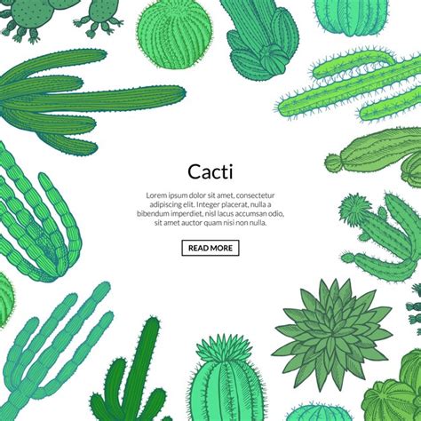 Premium Vector Hand Drawn Wild Cacti