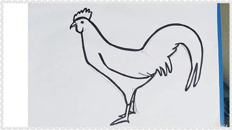 Cara Menggambar Ayam Dengan Mudah Sinau