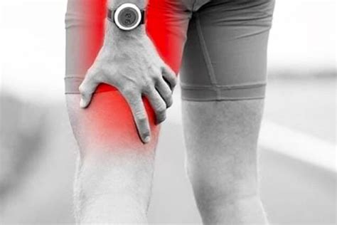 Hamstring Injuries Phyx You Physitherapy And Rehabilitation Port Macquarie