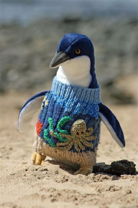 Miniature Knitted Jumpers Pour In For Endangered Penguins Irish Mirror Online