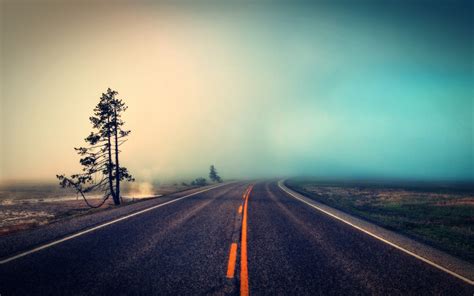 Road With Fog And Tree Hd Wallpaper Wallpaper Flare