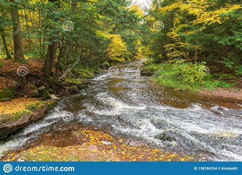 Beautiful Stream Flowing Through Woods In Autumn Stock Photo Image Of