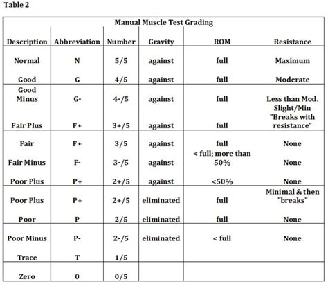Mmt Grading Chart 1454×1260 Physical Therapy