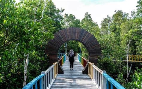 Yuk Kita Foto Foto Cantik Di Taman Wisata Hutan Mangrove Klawalu Sorong