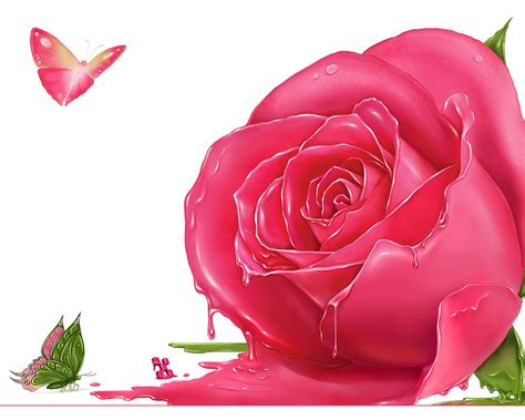 Images photos pink wallpapers color. Pink Rose Wallpapers, Dark Pink Rose Wallpaper, #7467