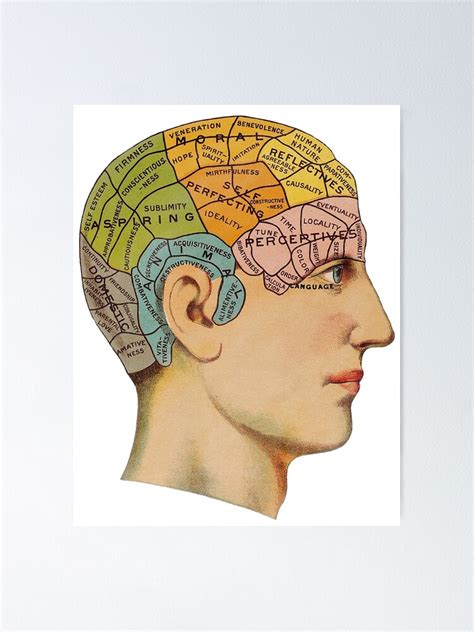 Phrenology Chart Poster For Sale By Vassdesign Redbubble