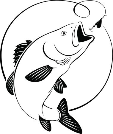 Download Fish Bass Stock Illustration - Download Image Now - iStock