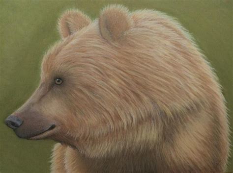 ‎coloredpencil‬ ‪‎pastels‬ ‪‎bear‬ ‪‎grizzlybear‬ ‪‎kimbearlys