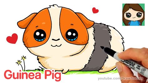 This sunflower pig baby onesie is. How to Draw a Guinea Pig Easy and Cute - YouTube