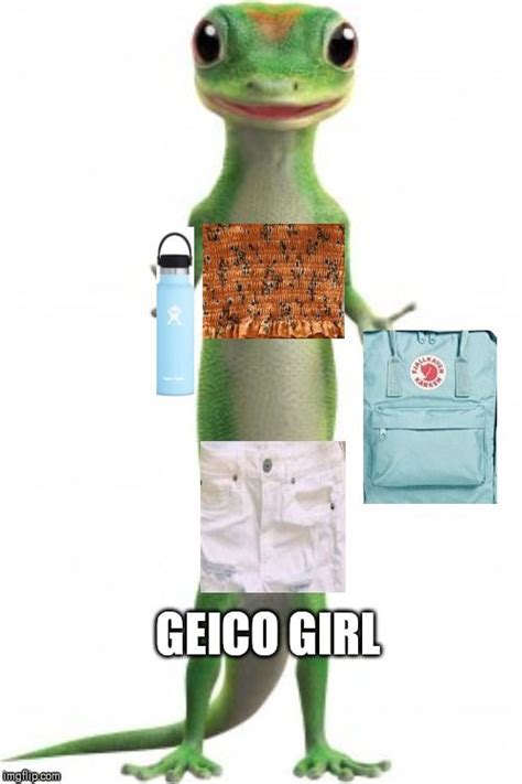 Geico Girl Geico Lizard Car Insurance Ad Girl Memes High Key Low