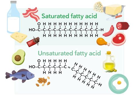 Nutrition Fats And Their Degrees Of Saturation Pgwellness
