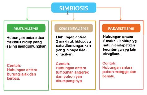 Pamflet adalah alat promosi yang sangat baik untuk bisnis, organisasi, atau gerakan yang memerlukan penjelasan kompleks dan keterlibatan lingkungan. Pamflet Tentang Hubungan Makhluk Hidup dalam Ekosistem ...