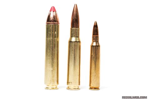 300 Win Mag Vs 308 Win Battle For Best 30 Cal Recoil