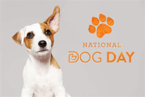 National Dog Day 2024 Usa Debbie Gwendolen