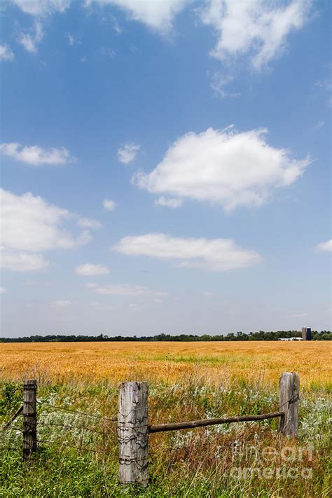 Kansas Wheat Field In Spring Photograph By David Mabe Fine Art America