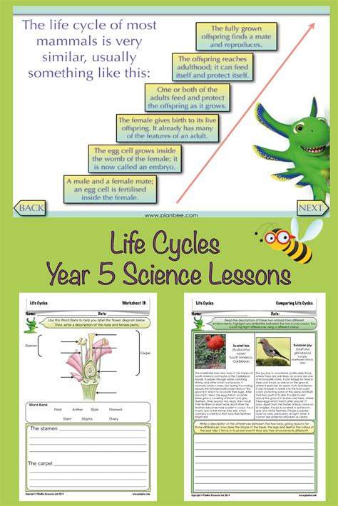 Science Projects For Kids Science Ideas Science Lessons Ks2 Science