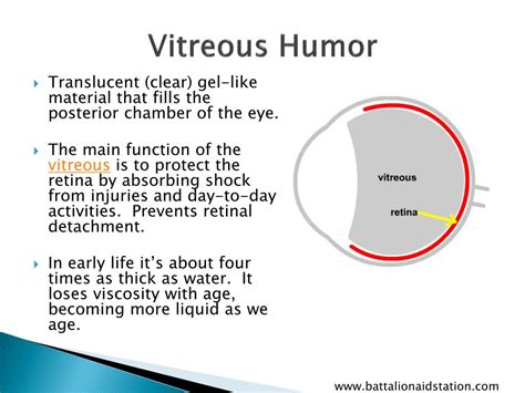 Vitreous Humor 中文 Vitreous Opacity Ophrafit