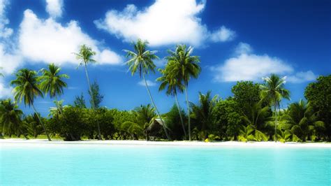 Tropical White Beach Full Hd Desktop Wallpapers 1080p
