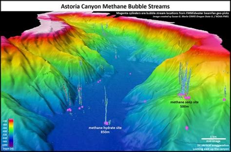 Environmental News Network Seafloor Mapping Data Reveals Large Number