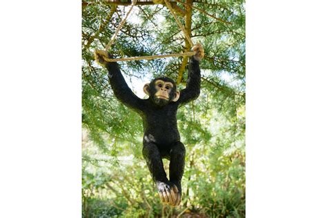 Hanging Garden Monkey C The Loft